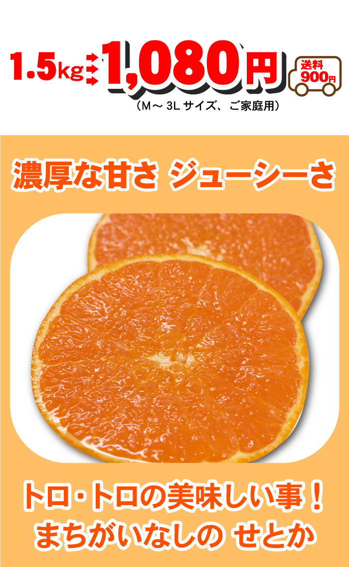 清原優太(みかん東大生/経営者)のwikiプロフや起業した会社やおすすめミカンは?彼女はいる??【マツコの知らない世界】 うわさのアイツと